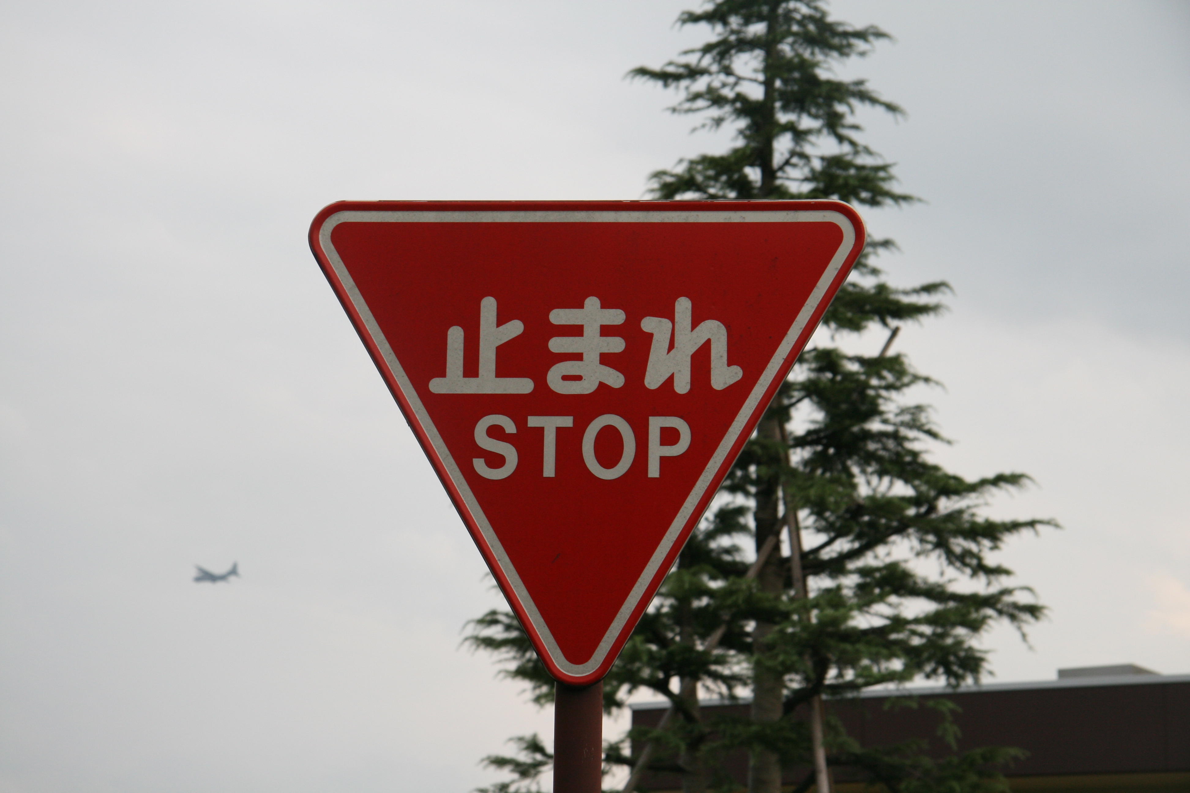 Yokosuka Navy Base in Japan